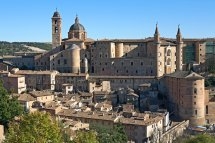 Urbino