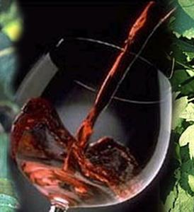 Itália bate recorde de exportação de vinho em 2008