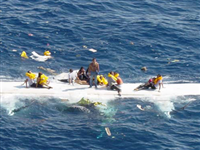 Destroços do avião que caiu no mar na costa da Sicilia, em agosto de 2005