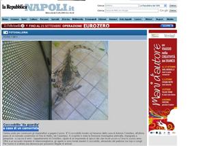 Polícia italiana apreendeu um crocodilo que era usado por um mafioso de Nápoles. (Foto: Reprodução/Napoli la Repubblica)