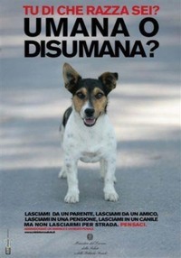 Organizações de defesa de animais da Itália fazem campanha contra abandono de cães nas férias
