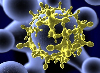Vírus HIV no organismo